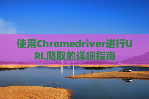 使用Chromedriver进行URL爬取的详细指南 使用Chromedriver进行URL爬取的详细指南